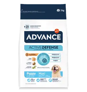 Advance PUPPY MAXI