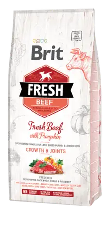 Brit Fresh Beef with Pumpkin Puppy Large