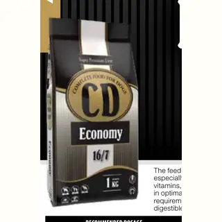 Delikan CD Economy