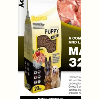 Delikan Maximo Puppy