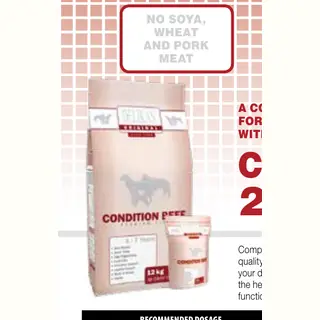 Delikan Original Condition Beef