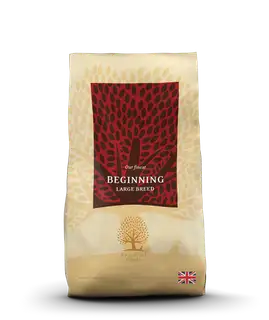 ESSENTIAL FOODS BEGINNING LARGE BREED