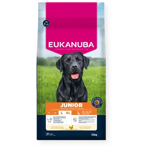 Eukanuba Junior Large Breed Fresh Chicken