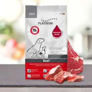 PLATINUM Adult Beef