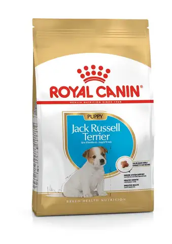Royal Canin JACK RUSSELL TERRIER Puppy