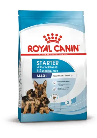 Royal Canin MAXI STARTER Mother & Babydog