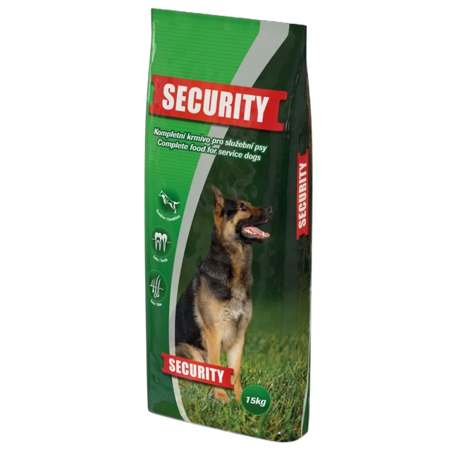 Security SECURITY